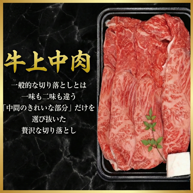 牛肉 切り落とし 700g 阿波黒牛 《希少部位 ミスジ まくら 入り！》すき焼き しゃぶしゃぶ 牛丼 和牛 サシ 牛肉 肉 にく 赤身 霜降り スライス 贈答 お取り寄せ お盆 中元 徳島県 北島町 ドリームチーム