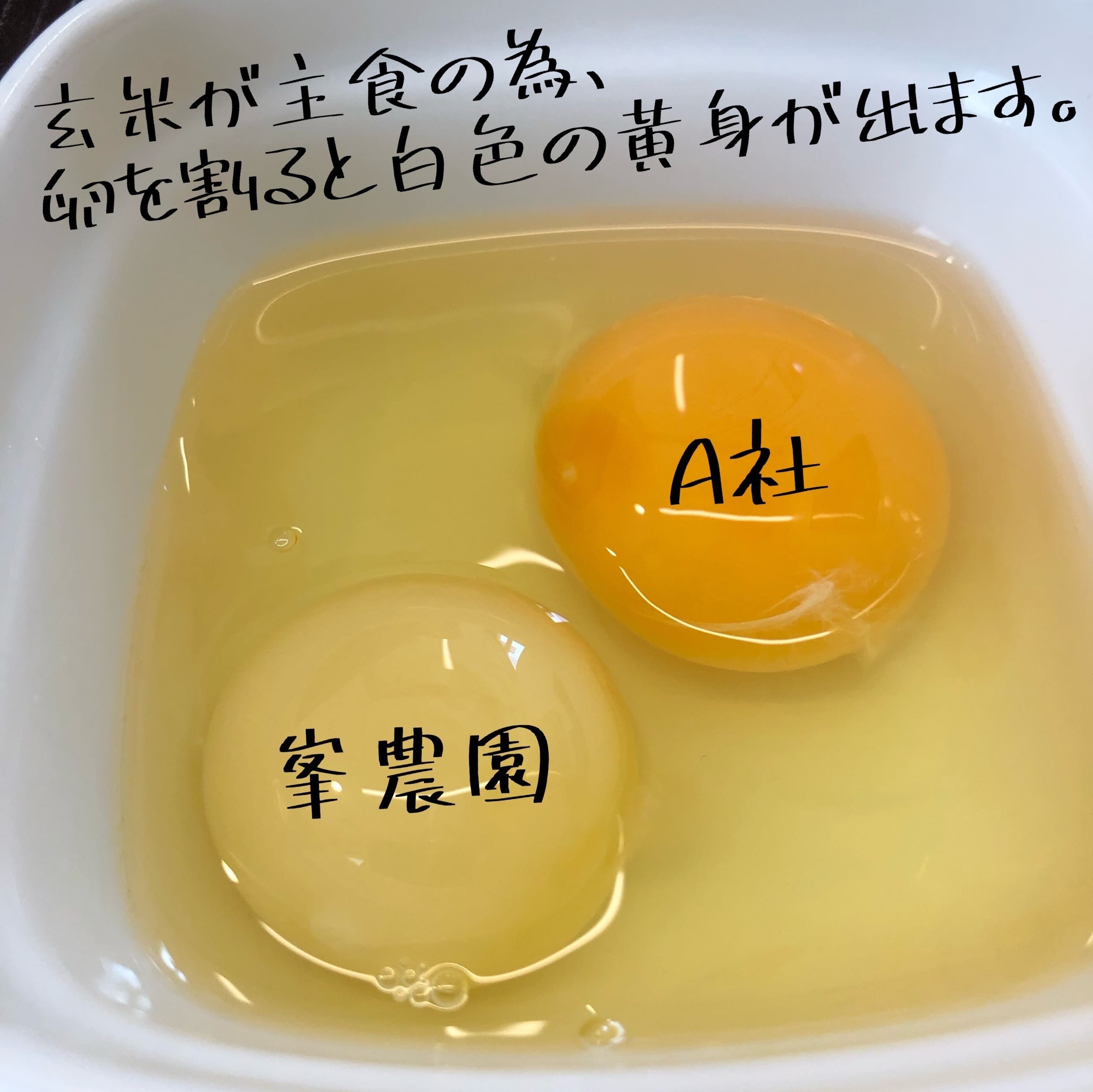 烏骨鶏の有精卵 10個 たまご 玉子 生卵 ゆで 鶏 卵焼き 卵かけご飯 ごはん こめ 米 すき焼き 牛丼 玉ねぎ うなぎ う巻き プリン フライパン お菓子 サンド 高級 年 定 日 ふるさと 徳島