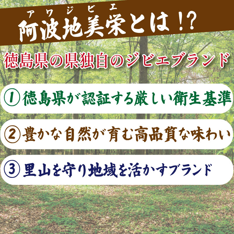 ペットフード 鹿肉 小間切れ 3キロ (250g×12パック) 徳島 那賀 国産 ジビエ 阿波地美栄 いぬ 犬 ペット用 犬用 カット済 ごはん えさ 餌 ドッグフード ペットフード おやつ 犬の餌 犬用おやつ 小間切れ 小分け 冷凍 ドリームチーム