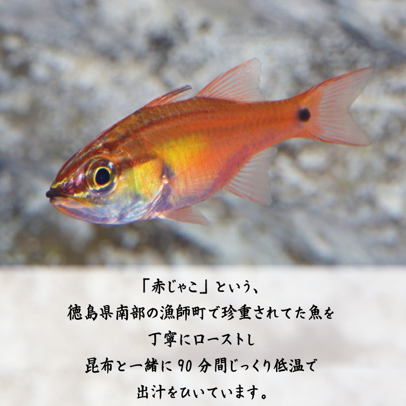 めんつゆ 300ml×3本 赤じゃこ 昆布 出汁 そうめん つゆ そば 蕎麦 うどん だし 出汁 調味料 天つゆ そうめん流し 流しそうめん ギフト 贈答 特選 ブランド 徳島 美馬 八千代麺業 ドリームチーム