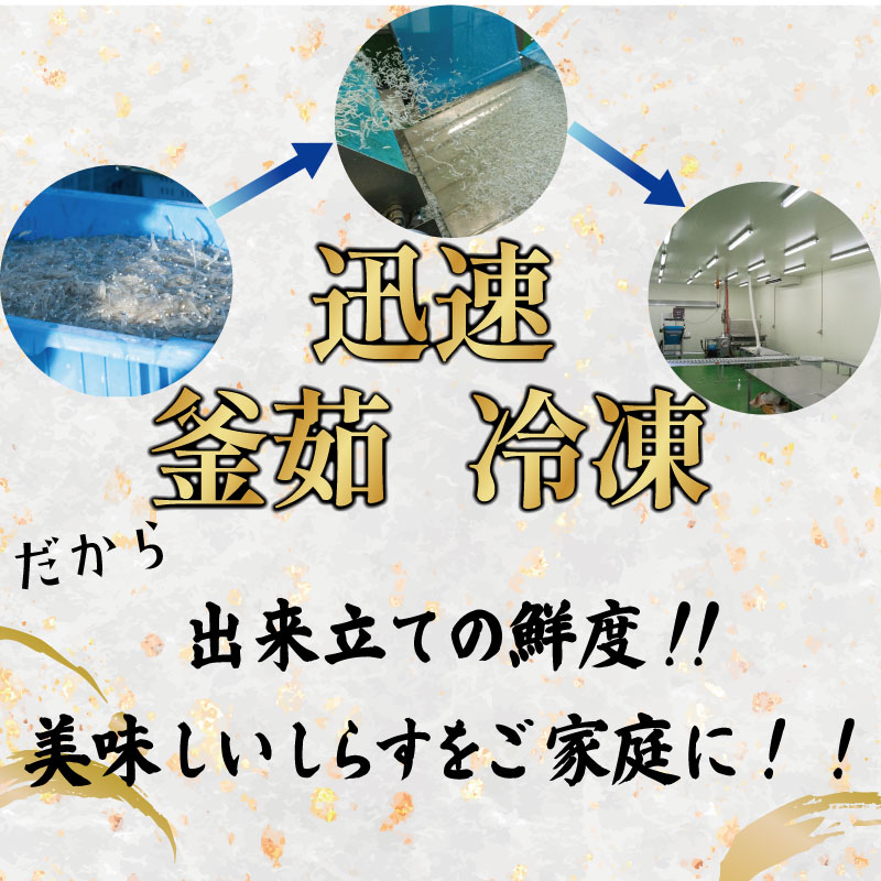  釜揚げ しらす 500g 冷凍 鮮度 産地直送 しらす丼 海鮮 海鮮丼 魚介 魚 オススメ 小分け 人気 定番 ご飯 250g×2P
