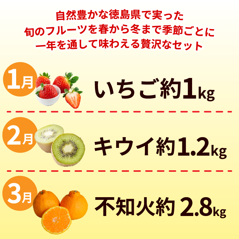 フルーツ 定期便 6ヶ月 果物 季節 旬 詰め合せ 国産 おまかせ 産地直送 シャインマスカット すだち いちご みかん キウイ 不知火 桃 ピオーネ 徳島