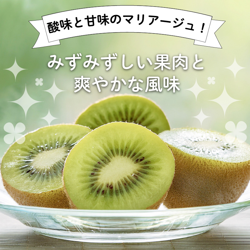 【1月下旬より順次発送】 秀品 キウイフルーツ 24~30玉 3.6kg きうい キウイ フルーツ 果物 くだもの お取り寄せ 人気 おすすめ 徳島県 送料無料 徳島青果