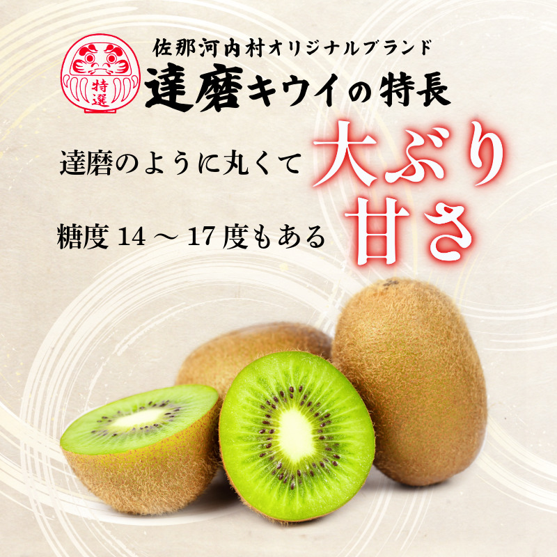 【1月下旬より順次発送】 達磨キウイ 8玉 1.4kg きうい キウイ フルーツ 果物 くだもの お取り寄せ 人気 おすすめ 徳島県 送料無料 徳島青果