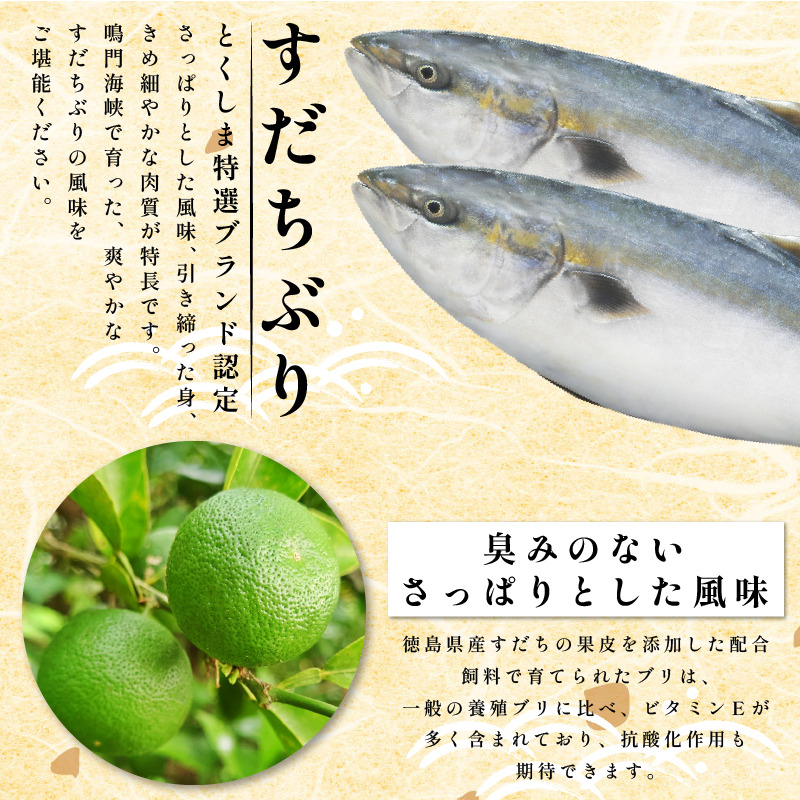 ぶり フィレ すだちぶり 半身 2枚 2.6kg 冷蔵 徳島 養殖 ブランド鰤 鰤 ブリ お正月 buri 豪華 海鮮 魚 ふるさと納税