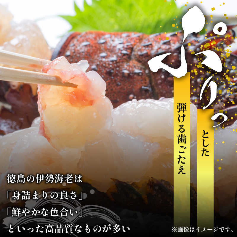 伊勢海老 200g 3尾 えび エビ 高級 伊勢 伊勢えび 鮮魚 海鮮 魚介 刺身 焼き物 汁物 イセエビ 海老 正月 おせち ギフト 贈答 贈り物 祝い 歳暮 中元 年末 年始 ebi 徳島 阿南 【年末年始 発送対応可能です！】