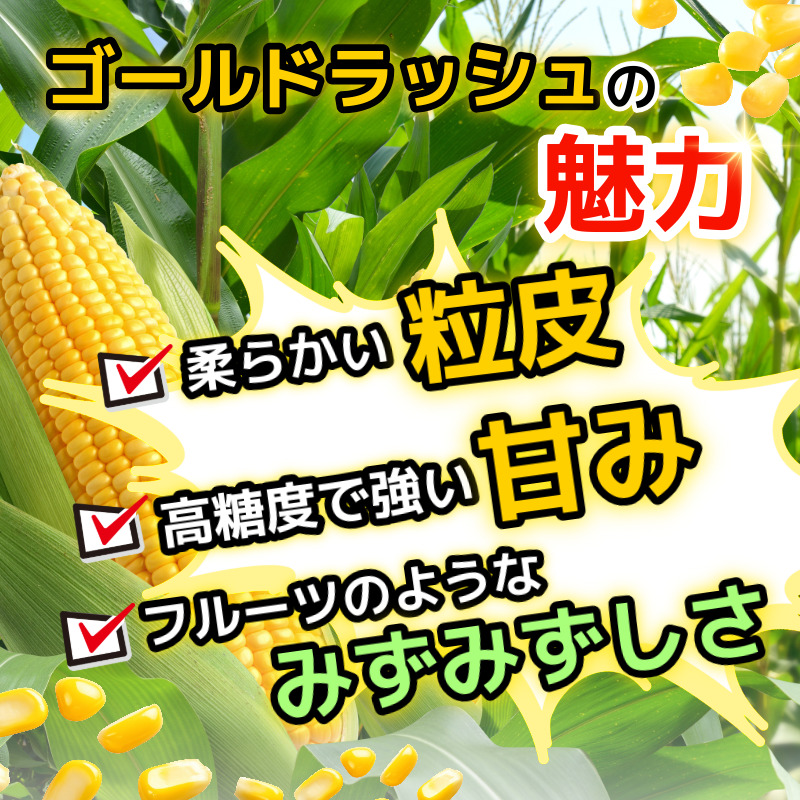 【6月下旬より順次発送】とうもろこし ゴールドラッシュ 4kg以上 選べる 容量 厳選 新鮮 甘い 生 国産 野菜 スイートコーン バーベキュー BBQ コーン 旬 徳島県