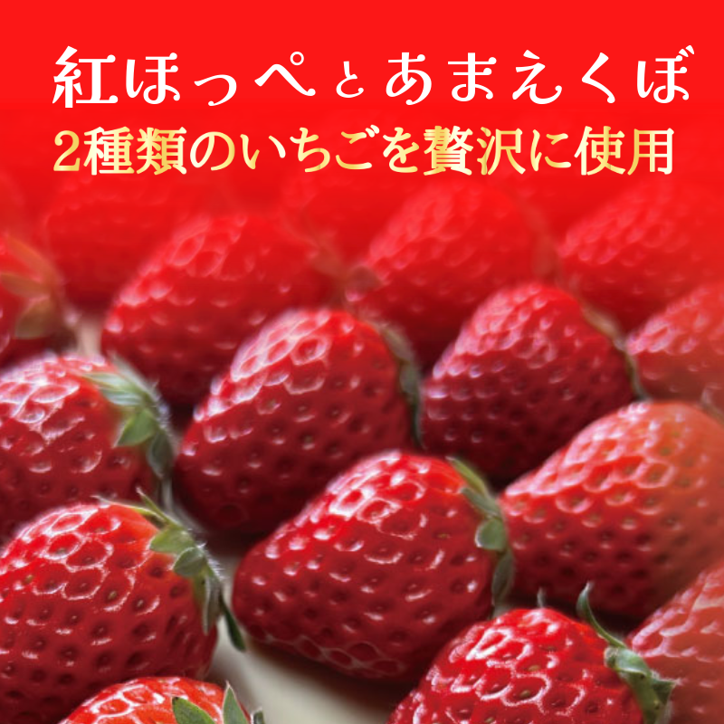 きいちご♪ ページ いちご ジェラート 食べ比べセット 12個 4種 いちご 苺 フルーツ 紅