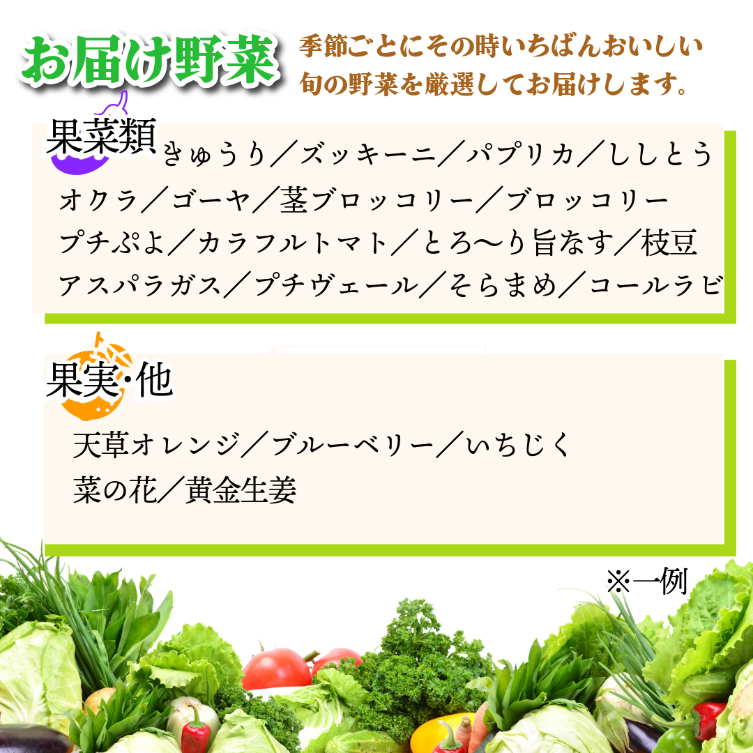 野菜 セット 9～10品 単品 季節 旬 野菜 詰め合せ 国産 季節 旬 おまかせ 産地直送 春野菜 夏野菜 秋野菜 葉物 果物 果菜 根菜 冷蔵 野菜室 ダイエット 食 栄養食 加工品 カット野菜
