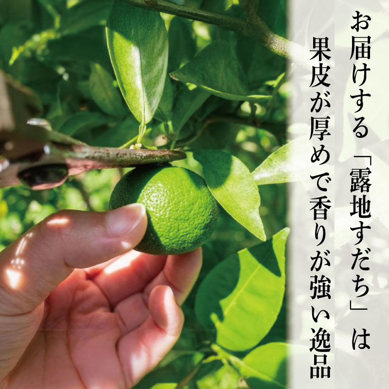 すだち 秀品 1kg 徳島県産 9月のみ発送 先行予約 魚 ホタテ 鮭 サーモン さば ぶり まぐろ うなぎ さんま 刺し身 肉 牛タン ステーキ 牛肉 豚肉 鶏肉 そうめん 米 ご飯 寿司 パスタ 食卓 餃子 野菜 フルーツ 搾り 水 果物 ジュース 柑橘 酒 カクテル サワー ふるさと 徳島 神山
