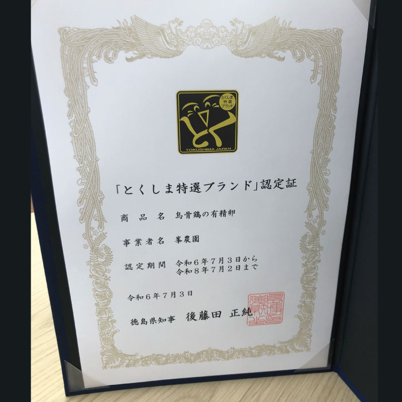 烏骨鶏の有精卵 10個 たまご 玉子 生卵 ゆで 鶏 卵焼き 卵かけご飯 ごはん こめ 米 すき焼き 牛丼 玉ねぎ うなぎ う巻き プリン フライパン お菓子 サンド 高級 年 定 日 ふるさと 徳島