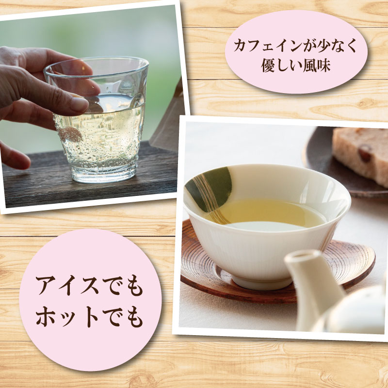 阿波晩茶 ティーバック 15個 お茶 茶葉 阿波 ばん茶 番茶 晩茶 乳酸菌 特産品 国産 発酵茶 茶 発酵 お土産 母の日 父の日 徳島県 那賀町 ドリームチーム