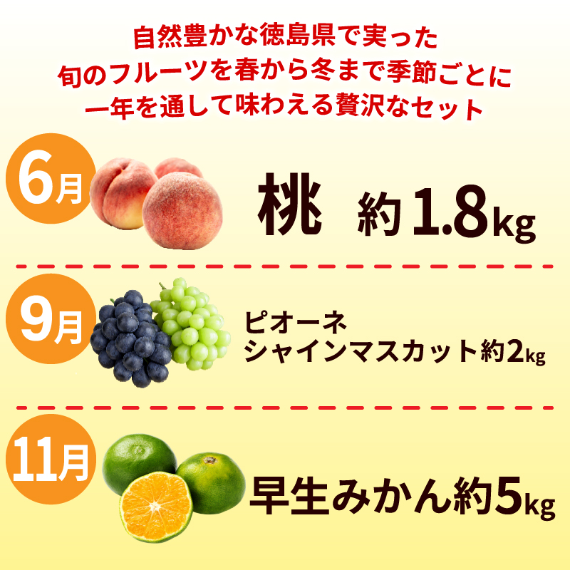 フルーツ 定期便 6ヶ月 果物 季節 旬 詰め合せ 国産 おまかせ 産地直送 シャインマスカット すだち いちご みかん キウイ 不知火 桃 ピオーネ 徳島