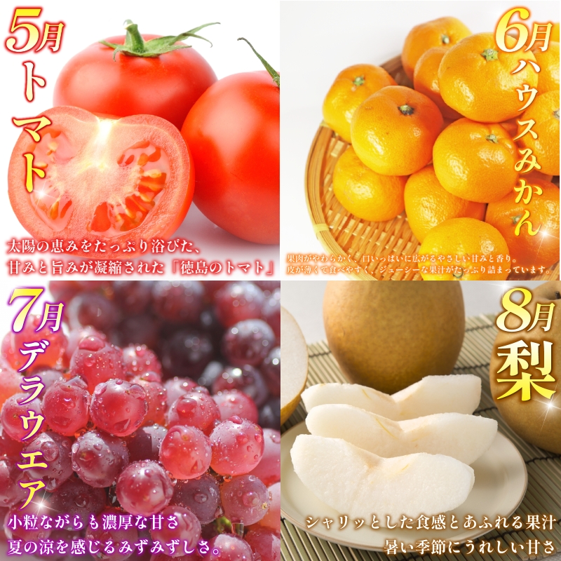 旬の果実 定期便 12回 フルーツ 果物 野菜 季節 旬 詰め合せ 国産 おまかせ 産地直送 シャインマスカット いちご みかん キウイ 不知火 トマト ピオーネ 梨 柿 徳島県