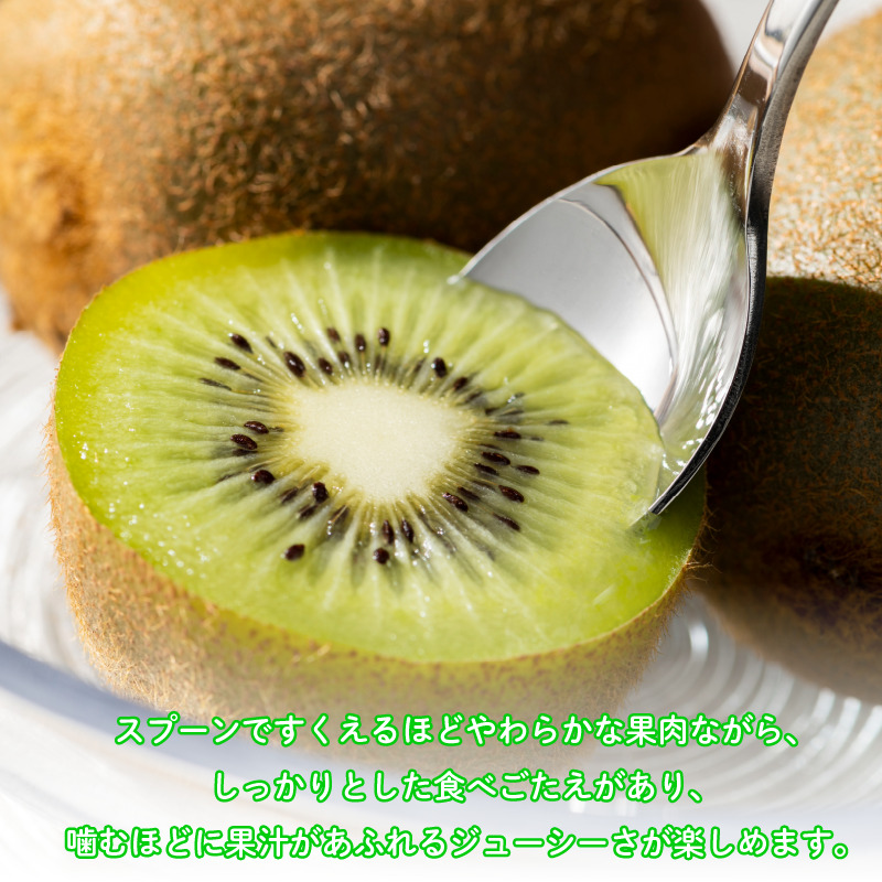 【1月下旬より順次発送】 秀品 キウイフルーツ 24~30玉 3.6kg きうい キウイ フルーツ 果物 くだもの お取り寄せ 人気 おすすめ 徳島県 送料無料 徳島青果