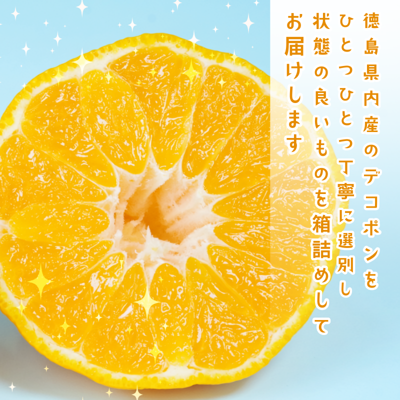 デコポン 訳あり 3kg 柑橘 フルーツ 旬 でこぽん 濃厚 甘い 厳選 国産 徳島県 【2月上旬より順次発送】
