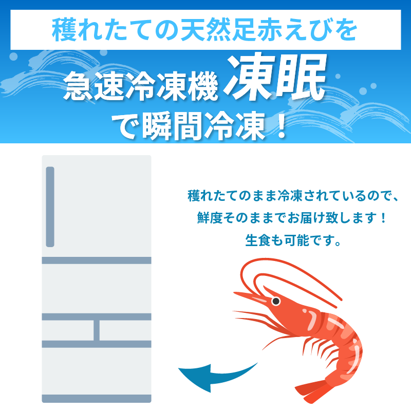 【天然】えび 足赤海老 1kg(500g×2）冷凍 急速冷凍 鮮度そのまま 海老 お正月 刺身 甘い エビフライ 塩焼き 殻付き プリプリ ebi エビ 天然えび 徳島県