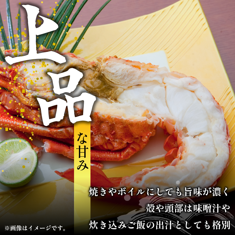 伊勢海老 2kg サイズ お任せ えび エビ 高級 伊勢 伊勢えび 鮮魚 海鮮 魚介 刺身 焼き物 汁物 イセエビ 海老 正月 おせち ギフト 贈答 贈り物 祝い 歳暮 中元 年末 年始 ebi 徳島 阿南 【年末年始 発送対応可能です！】