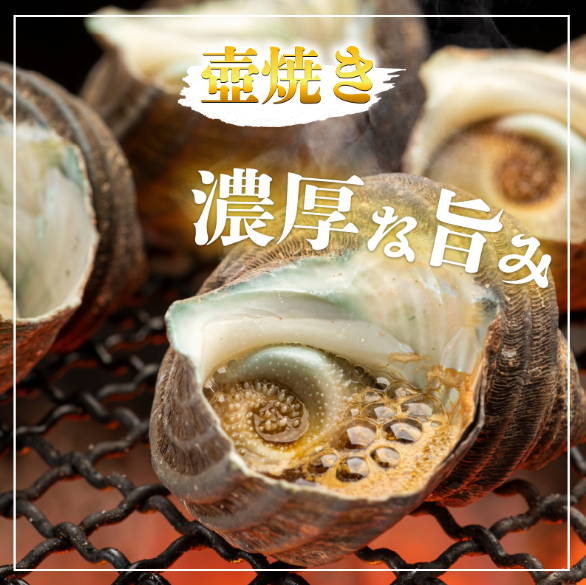 サザエ 1kg さざえ 貝 貝類 栄螺 鮮魚 海鮮 魚介 刺身 焼き物 汁物 さざえご飯 壺焼き つぼ 正月 おせち ギフト 贈答 贈り物 祝い 歳暮 中元 年末 年始 バーベキュー BBQ sazae 徳島 阿南