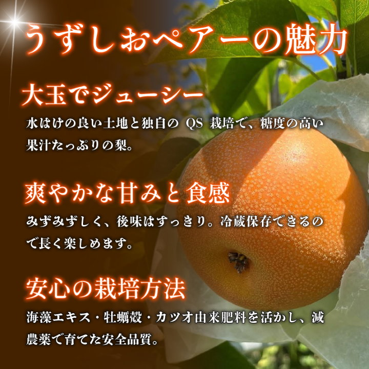 【2026年先行予約】梨 なし 4.5kg以上 10〜13玉 3L〜5Lサイズ 2026年 8月順次発送 うずしおペアー 果物 フルーツ デザート 旬 新鮮 季節 秋 人気 おすすめ ギフト プレゼント 贈答 贈り物 家庭用 期間限定 送料無料 鳴門 徳島