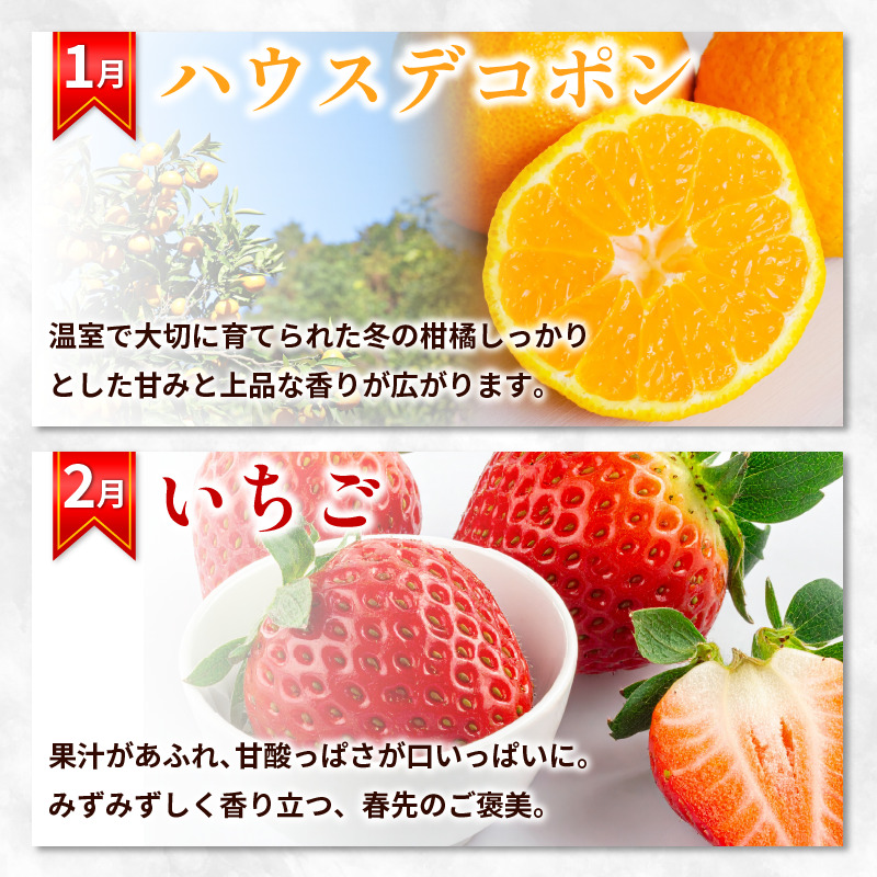 フルーツ 定期便 12ヶ月 果物 季節 旬 詰め合せ 国産 おまかせ 産地直送 シャインマスカット いちご みかん デコポン 桃 メロン 八朔 梨 柿 あたご柿 徳島