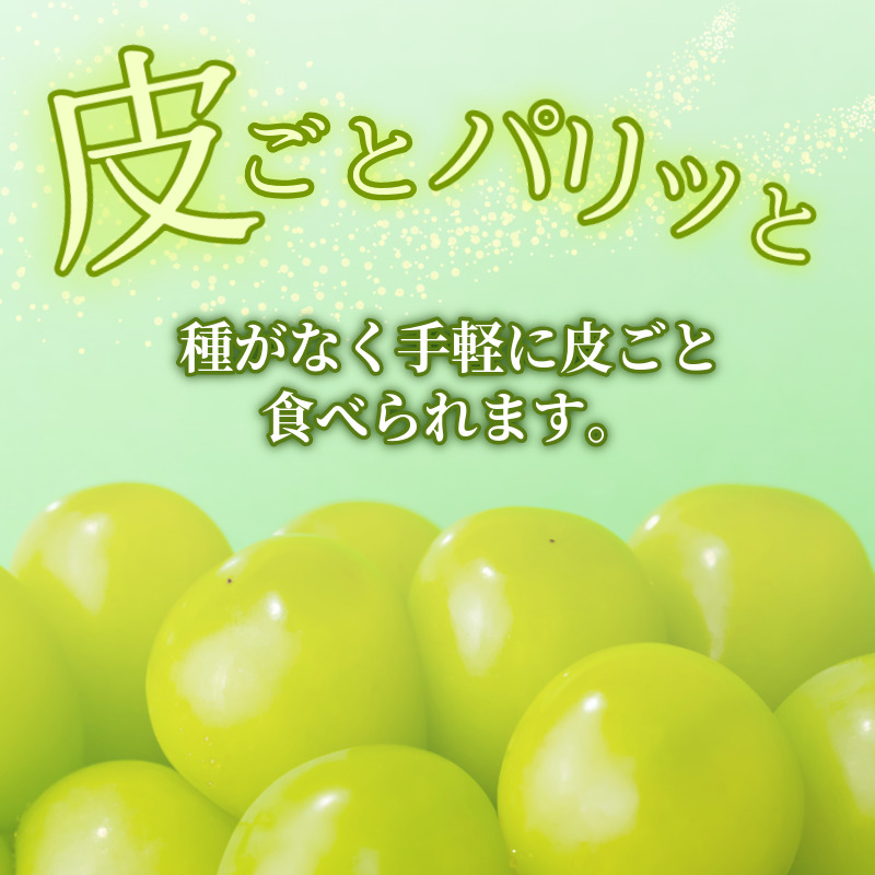 シャイン マスカット フルーツ 果物 2房 冷蔵 1kg 種なし 大粒 高級 甘い シャインマスカット ぶどう 産地直送 国産 徳島県 【6月中旬～8月中旬まで順次発送】