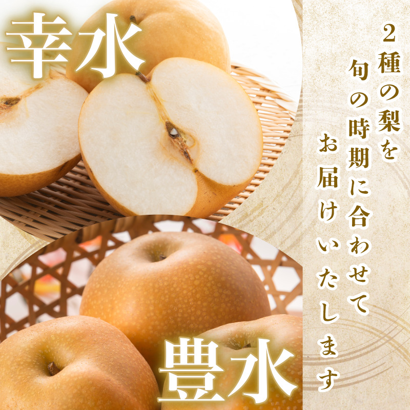 【8月上旬から9月上旬まで発送】 梨 5kg 豊水 幸水 容量 選べる フルーツ 果物 なし 食べ比べ 旬 国産 厳選 徳島県