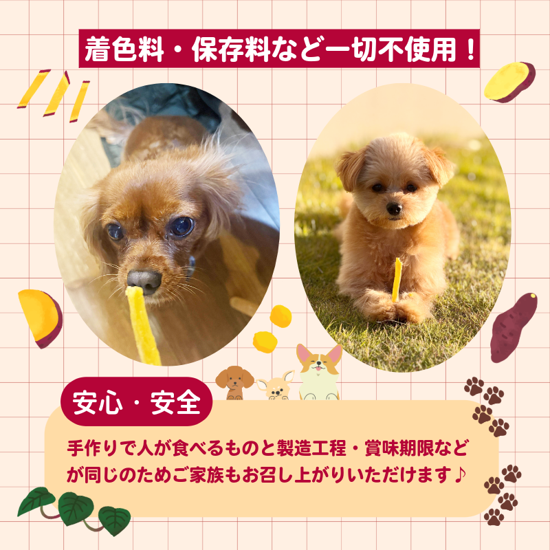 犬用 干し芋 400g 干し芋 干しいも 鳴門金時 さつまいも スイーツ お菓子 おやつ ほしいも  国産 徳島県 人気 プレゼント ギフト  無添加 さつまいも 芋 おやつ 和菓子 いも イモ