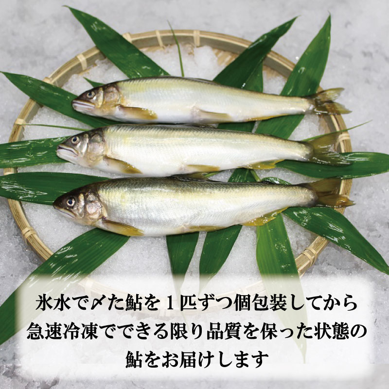 すだち 鮎 1kg 5月中旬から8月末まで発送 あゆ 冷蔵 すだち果汁 塩焼き 甘露煮 米 お米 ご飯 と一緒に うなぎ 鮭 かつお に負けない 魚 川魚 柑橘 BBQ 酒 つまみ 養殖 徳島