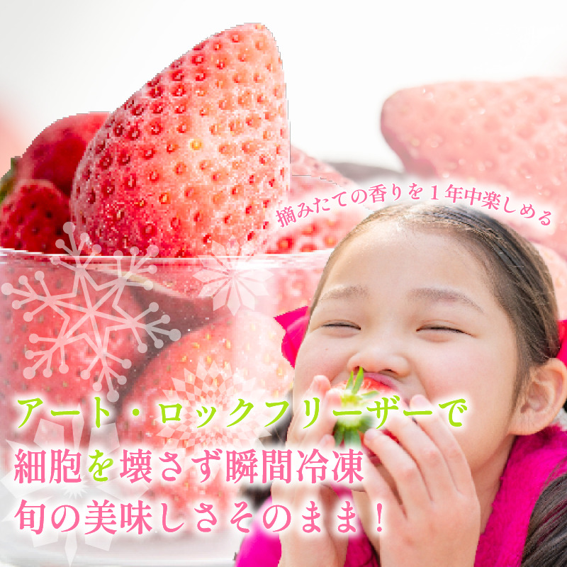 いちご 冷凍 オーガニック 1kg A品 苺 ストロベリー フルーツ 果物 くだもの 国産 洋菓子 和菓子 スイーツ お菓子 おやつ アイス ケーキ パフェ タルト ゼリー 徳島県