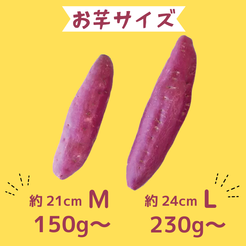 なると金時 里むすめ 5kg Lサイズ 12月発送 《 徳島と言えば なると金時 ！》 さつまいも 鳴門金時 いも 芋 焼き芋 干し芋 スイーツ 貯蔵庫 熟成 国産 ブランド お土産 徳島 鳴門