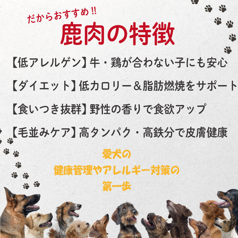 ペットフード 鹿肉 小間切れ 3キロ (250g×12パック) 徳島 那賀 国産 ジビエ 阿波地美栄 いぬ 犬 ペット用 犬用 カット済 ごはん えさ 餌 ドッグフード ペットフード おやつ 犬の餌 犬用おやつ 小間切れ 小分け 冷凍 ドリームチーム
