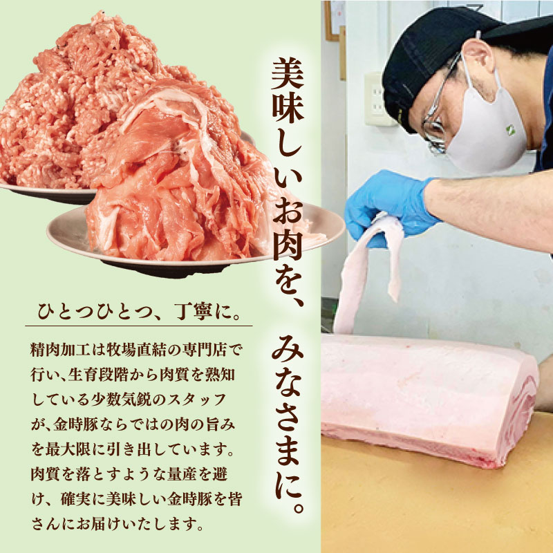 阿波の金時豚 豚肉 切り落とし 1kg (500g×2) ブランド豚 金時豚 小分け 真空パック 冷凍 国産 赤身 ウデ モモ 生姜焼き 野菜炒め 豚汁 豚丼 中華炒め 豚こま 鍋 ポークカレー カレー 肉じゃが 回鍋肉 内祝い ギフト 贈り物 冷凍 徳島 阿波