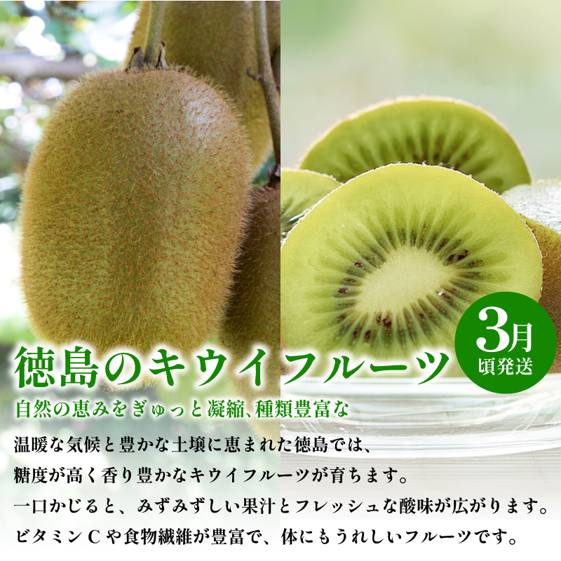 フルーツ 定期便 全3回 いちご キウイ 紅ほっぺ さちのか ギフト 果物 冬 徳島県産 産地直送 新鮮 3ヶ月