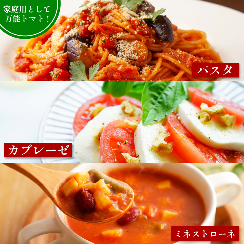 トマト 2kg 大玉 とまと 4月～6月発送 野菜 やさい 国産 産地直送 数量限定 旬 徳島県産 tomato サラダ おすすめ 徳島県