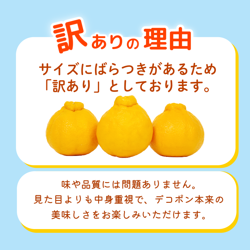 デコポン 訳あり 3kg 柑橘 フルーツ 旬 でこぽん 濃厚 甘い 厳選 国産 徳島県 【2月上旬より順次発送】