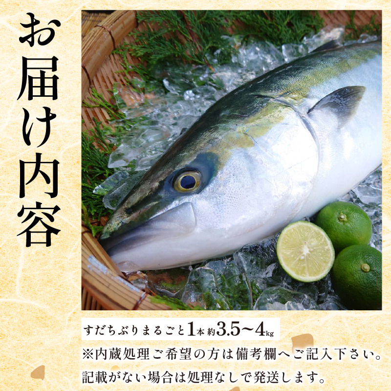 ぶり ラウンド すだちぶり 丸ごと1本 約3.5kg~4kg 冷蔵 徳島 養殖 ブランド鰤 鰤 ブリ お正月 buri 豪華 海鮮 魚 ふるさと納税