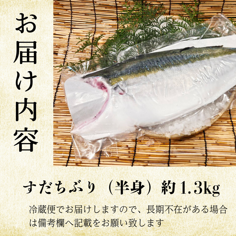 ぶり フィレ すだちぶり 半身 1枚 1.3kg 冷蔵 徳島 養殖 ブランド鰤 鰤 ブリ お正月 buri 豪華 海鮮 魚 ふるさと納税