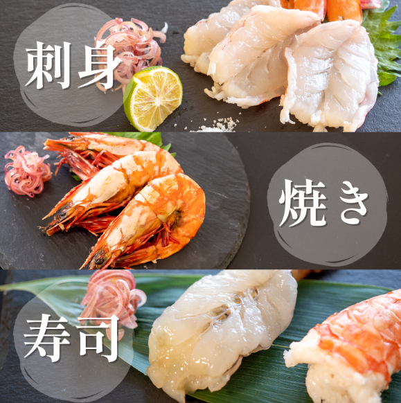 【天然】えび 足赤海老 1kg(500g×2）冷凍 急速冷凍 鮮度そのまま 海老 お正月 刺身 甘い エビフライ 塩焼き 殻付き プリプリ ebi エビ 天然えび 徳島県