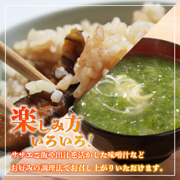 サザエ 2kg さざえ 貝 貝類 栄螺 鮮魚 海鮮 魚介 刺身 焼き物 汁物 さざえご飯 壺焼き つぼ 正月 おせち ギフト 贈答 贈り物 祝い 歳暮 中元 年末 年始 バーベキュー BBQ sazae 徳島 阿南