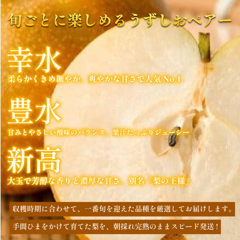 【2026年先行予約】梨 なし 4.5kg以上 10〜13玉 3L〜5Lサイズ 2026年 8月順次発送 うずしおペアー 果物 フルーツ デザート 旬 新鮮 季節 秋 人気 おすすめ ギフト プレゼント 贈答 贈り物 家庭用 期間限定 送料無料 鳴門 徳島