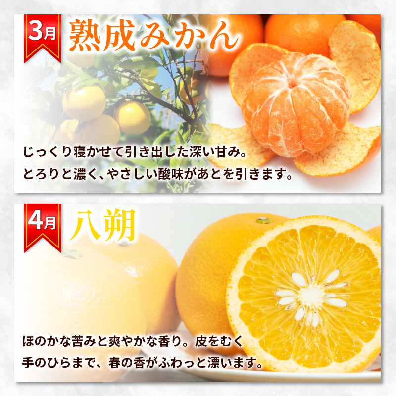 フルーツ 定期便 12ヶ月 果物 季節 旬 詰め合せ 国産 おまかせ 産地直送 シャインマスカット いちご みかん デコポン 桃 メロン 八朔 梨 柿 あたご柿 徳島