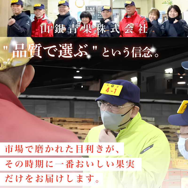 【6月下旬より順次発送】とうもろこし ゴールドラッシュ 8kg以上 選べる 容量 厳選 新鮮 甘い 生 国産 野菜 スイートコーン バーベキュー BBQ コーン 旬 徳島県