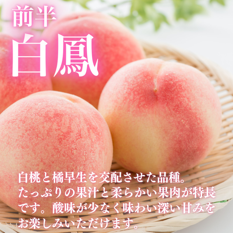 【6月下旬から7月下旬まで発送】 桃 4kg 白鳳 あかつき もも 白桃 モモ 果物 フルーツ 甘い 旬 贈答用 プレゼント 国産 徳島県