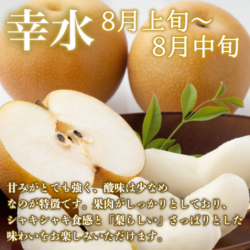 【8月上旬から9月上旬まで発送】 梨 5kg 豊水 幸水 容量 選べる フルーツ 果物 なし 食べ比べ 旬 国産 厳選 徳島県