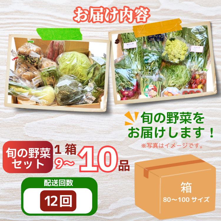 野菜 セット 9～10品 定期便 12回 季節 旬 野菜 詰め合せ 国産 季節 旬 おまかせ 産地直送 春野菜 夏野菜 秋野菜 葉物 果物 果菜 根菜 冷蔵 野菜室 ダイエット 食 栄養食 加工品 カット野菜