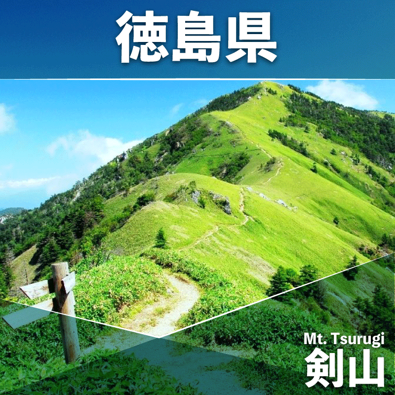 恋芋 シュガー 3袋 芋チップス 鳴門金時 さつま芋 芋 おいしい おつまみ 鳴門金時お芋チップス お芋スナック さつまいもスイーツ お菓子 ギフト 甘いおやつ お芋お菓子 芋チップス 甘い お土産 お菓子 シュガーおやつ 煎餅 スナック菓子