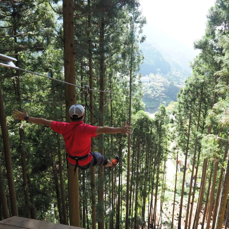 フォレストアドベンチャー 祖谷 体験チケット 2名様 施設利用券 徳島県 観光 クーポン ジップライン アクティビティ 遊び 体験 観光 トラベル チケット 自然 アスレチック 家族 ファミリー 三好 みよし ドリームチーム