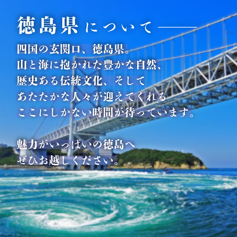 徳島県 宿泊券 15,000円分 徳島県 徳島 すだち 大野 海苔 のり お土産 米 徳島ラーメン ラーメン 道の駅 観光 ホテル 美術館 名物 温泉 グルメ 徳島ヴォルティス フィッシュカツ 半田そうめん 阿波踊り お菓子 日本酒 藍染