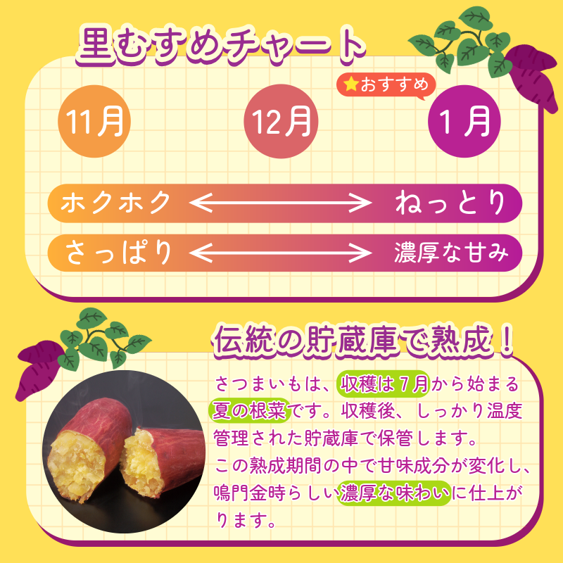 なると金時 里むすめ【Mサイズ5kg】2026年1月発送